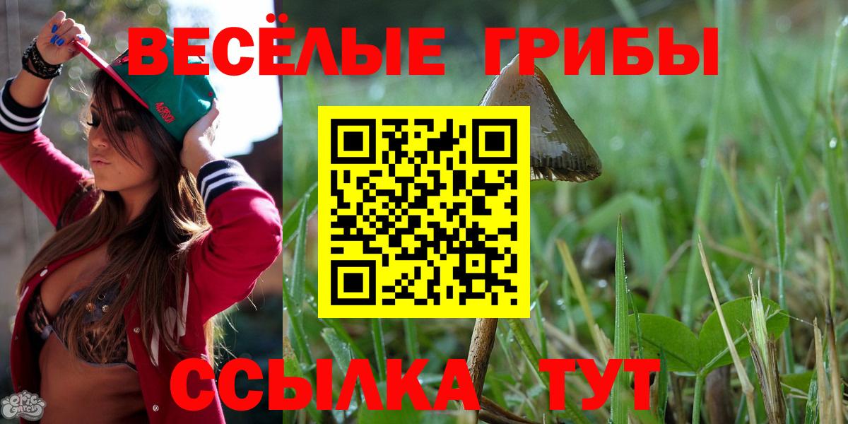Галлюциногенные грибы Magic Shrooms Ярцево