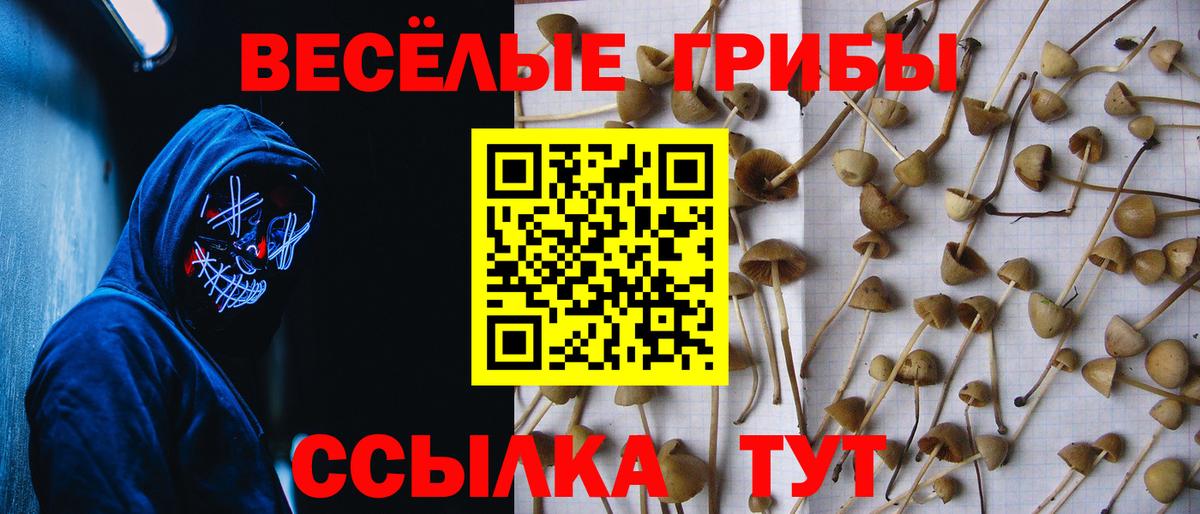 Галлюциногенные грибы Psilocybine cubensis  Вход с VPN  Ярцево 